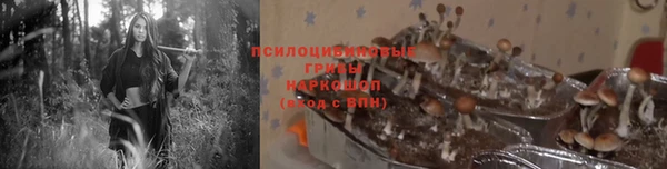 амф Богданович