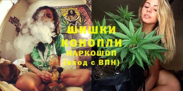 амф Богданович