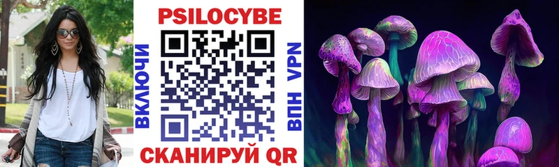 Галлюциногенные грибы прущие грибы  Купить закладки  Севастополь 